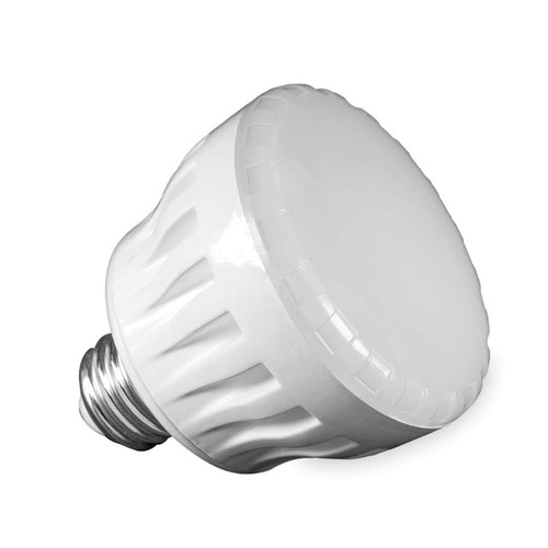 Pure White Cool LED Spa Lamp 12V Replacement LED Bulb | 46712