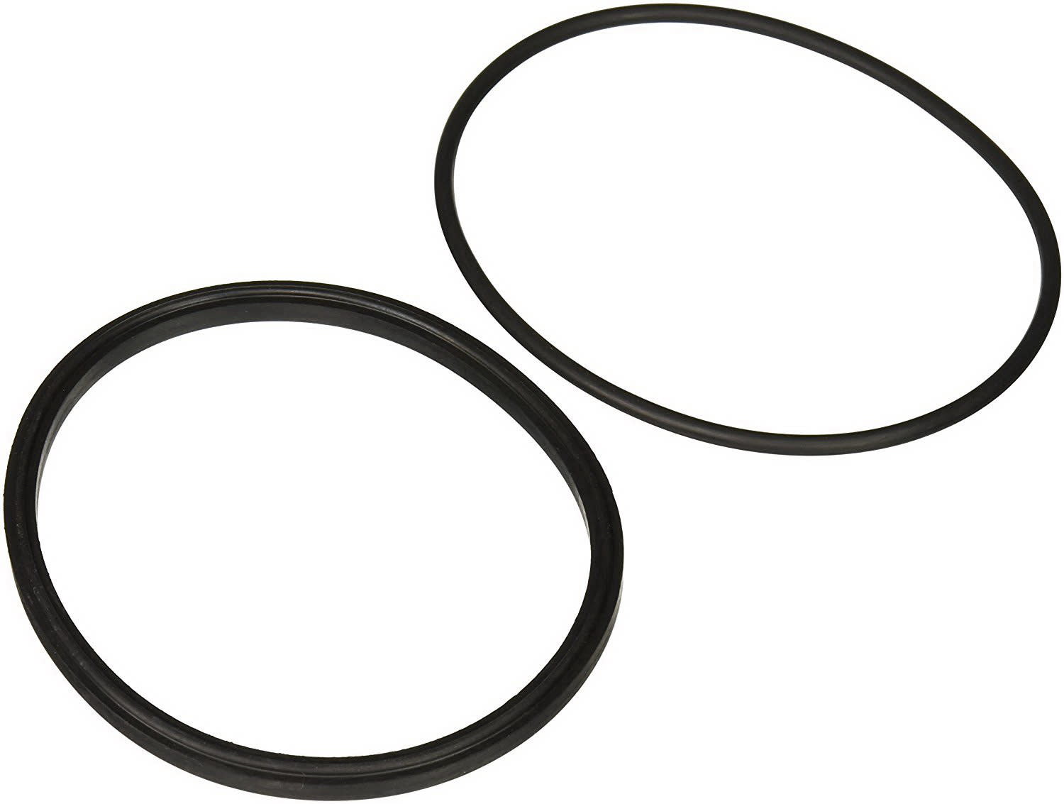 Jandy Lid Seal with O-Ring Replacement Kit | R0449100