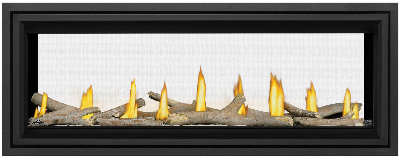 Napoleon Vector 50 See-Through Fireplace, Direct Vent, Natural Gas | LV50N2-2