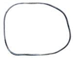 StaRite System 3 Filter Tank O-Ring 24850-0009