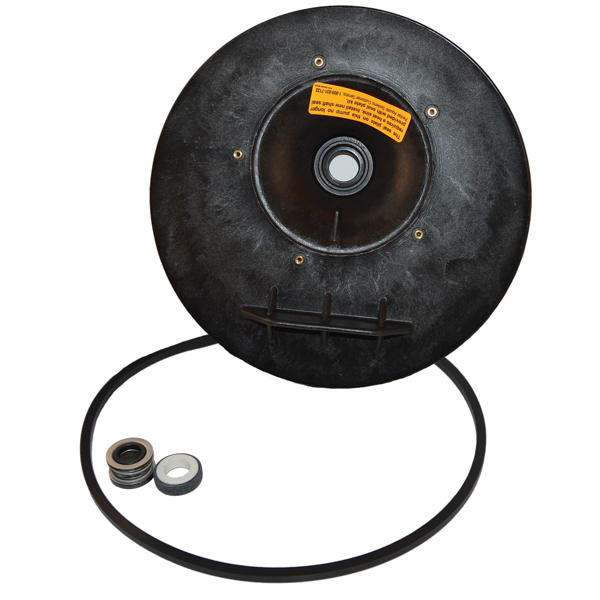 Sta-Rite DuraGlas Seal Plate Kit Assembly | C203-193P