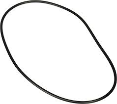 Jandy VS PlusHP | ePump | Stealth Backplate O-Ring - R0446300