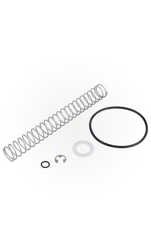 Jandy LXi | LRZ Bypass Spring - R0453900