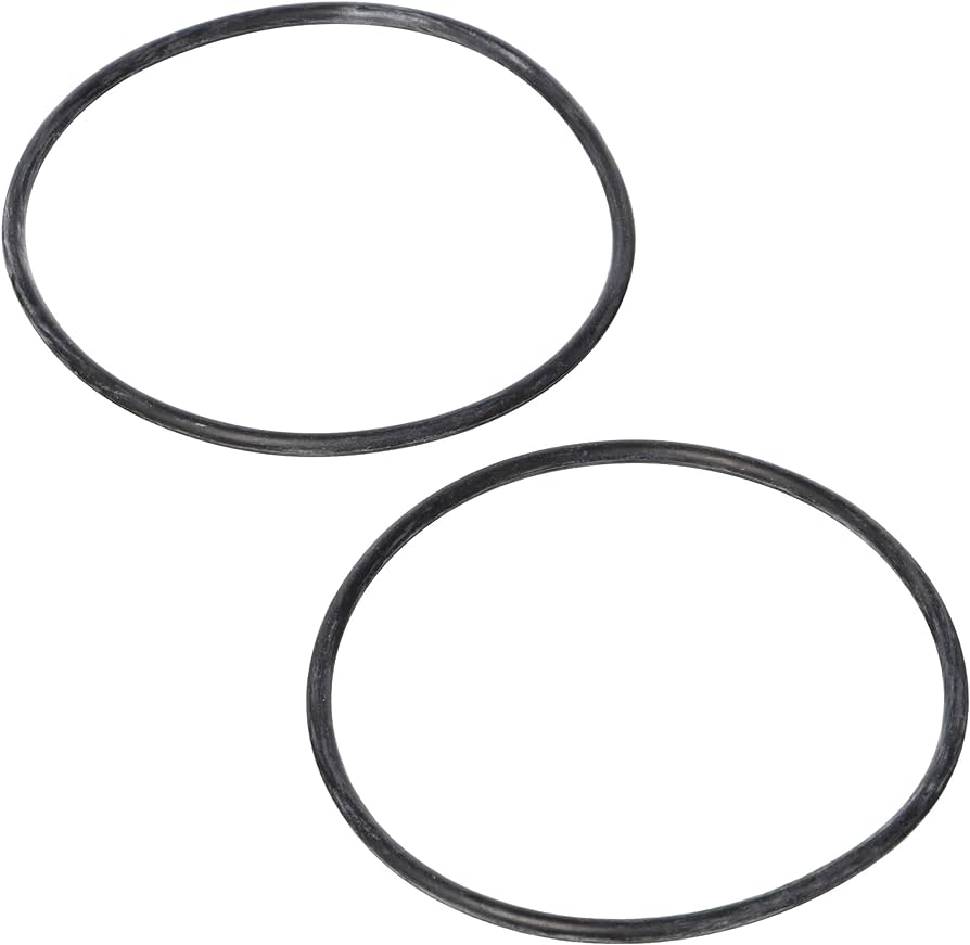 Jandy LXi | LRZ Coupling O-Ring (2 Pack) - R0454100