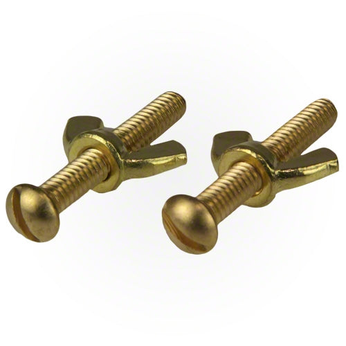 Pool Pals Brass Screws and Wing Nuts - Set of 2