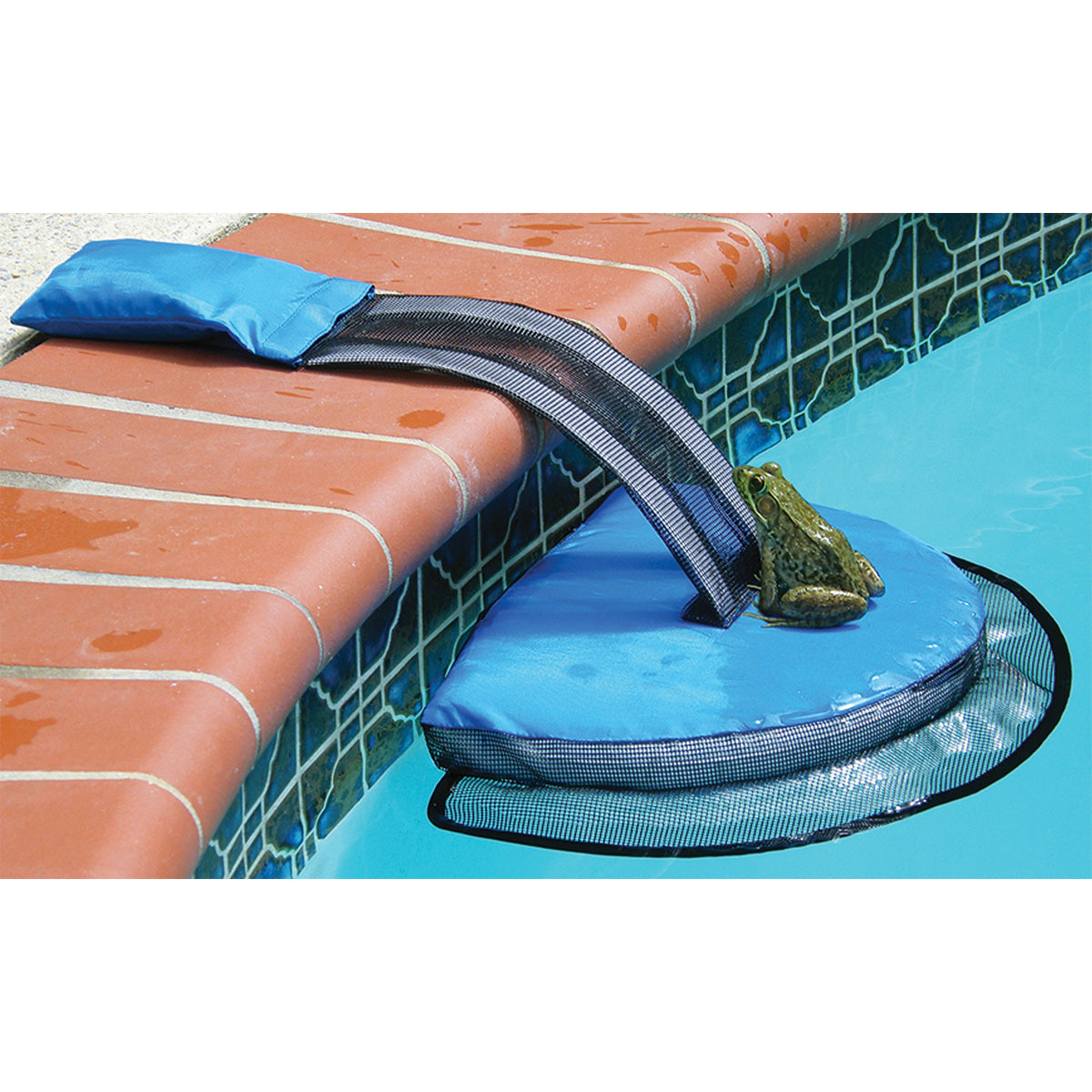 Swimline 70200SL FrogLog Critter Saving Escape Ramp