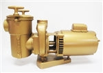 Martin 100 Series 3 HP Pump & Motor 60/50 Hz 8" Trap 3" Suction (81 lb) 230/460v 3PH V40-510-83