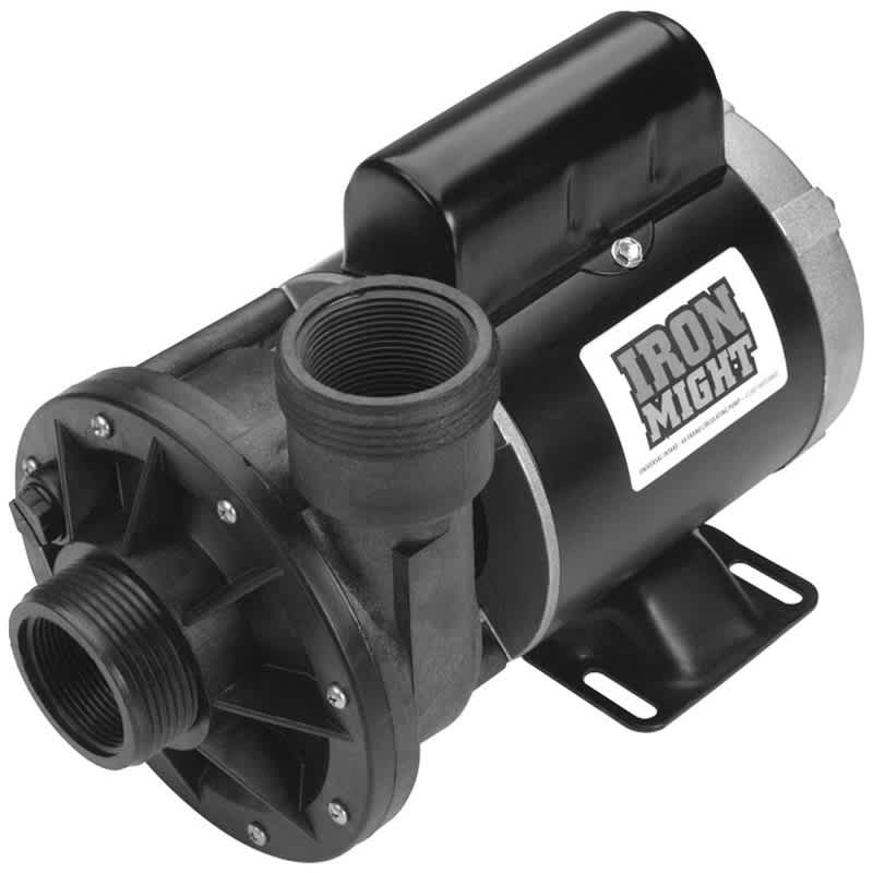 Waterway Plastics Iron Might Pond Pump, 115V | 3410030-1E