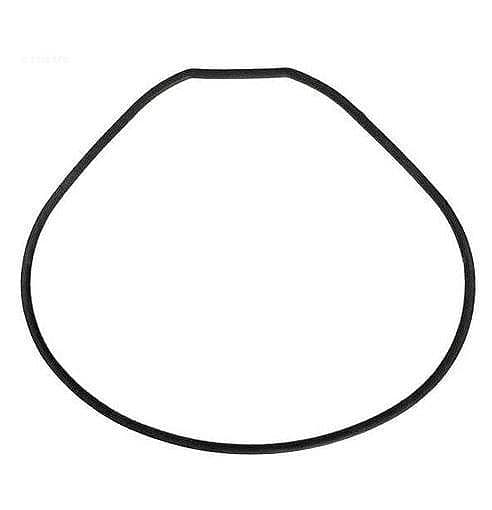 Waterway Plastics SVL56 Faceplate Gasket | 711-4290