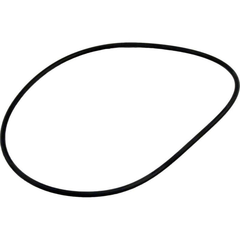 Waterway Plastics Lid O-Ring | 805-0254