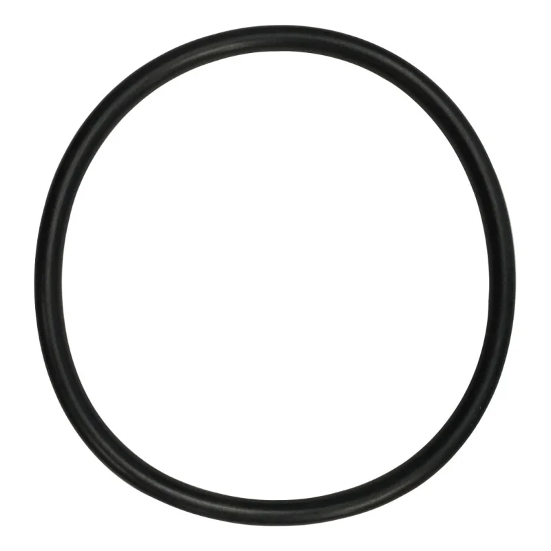 American (57008200) Admiral Twin Port Skimmer S20 Equalizer O-Ring || O-301-BAGGED