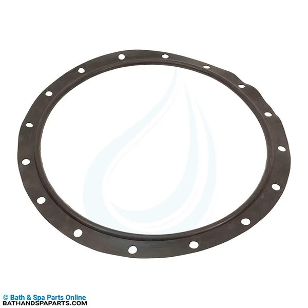 Astral Vert Filters 47″/55″/63″/71″/79″/93″ Lid Gasket (723R4140120)