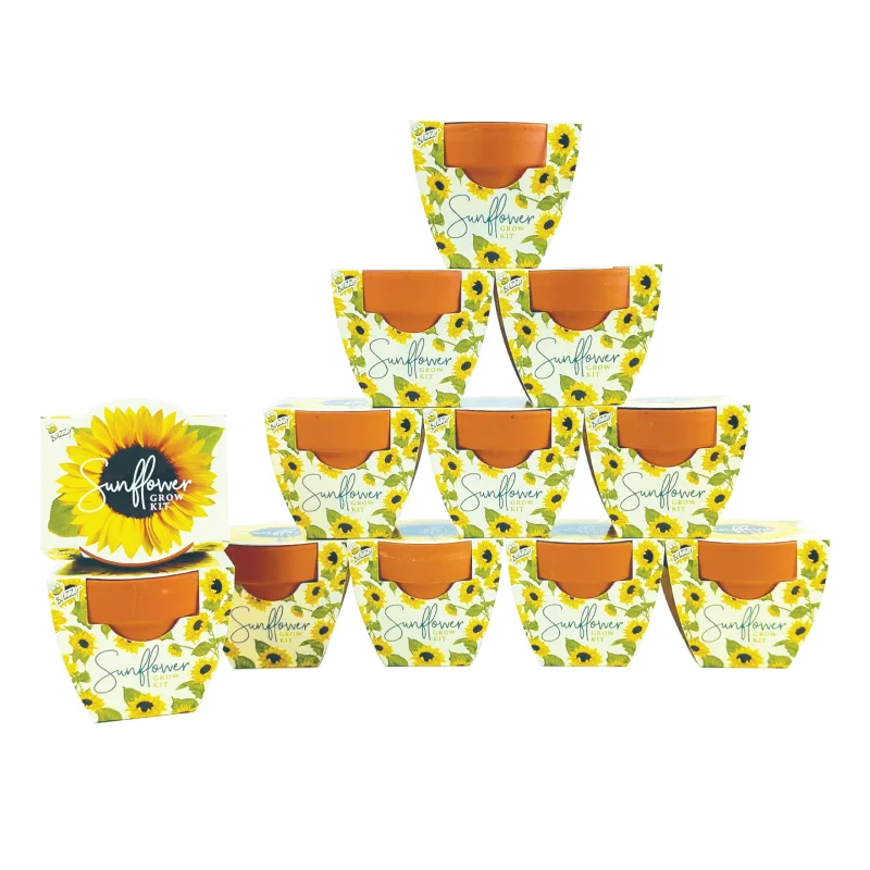 BUZZY Seeds All-in-One Sunflower Mini Terracotta Pot Grow Kits 12-Pack, Indoor Mini Garden Seed Starter, Grow Your Own Vibrant Flowers, DIY Plant Project, Gardening Gift, Party Favors