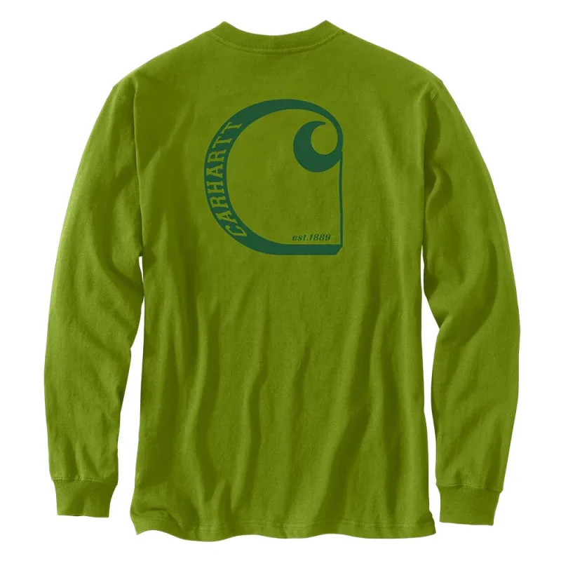 Carhartt Men's Relaxed Fit Heavyweight Long Sleeve Graphic T-Shirt (Dill) Size XXL