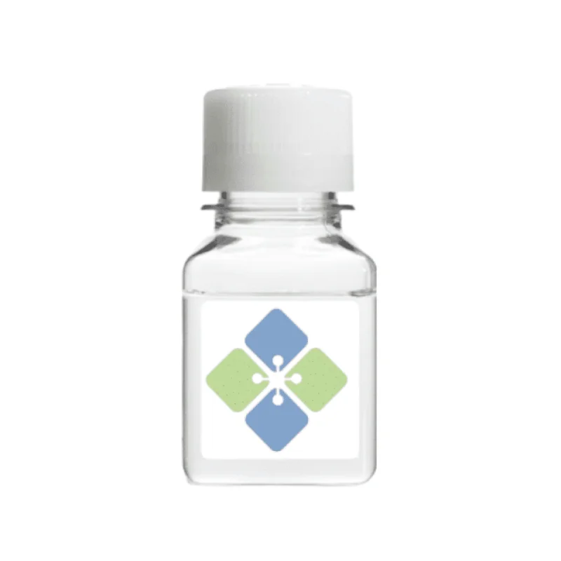 Cefuroxin BSA Conjugate