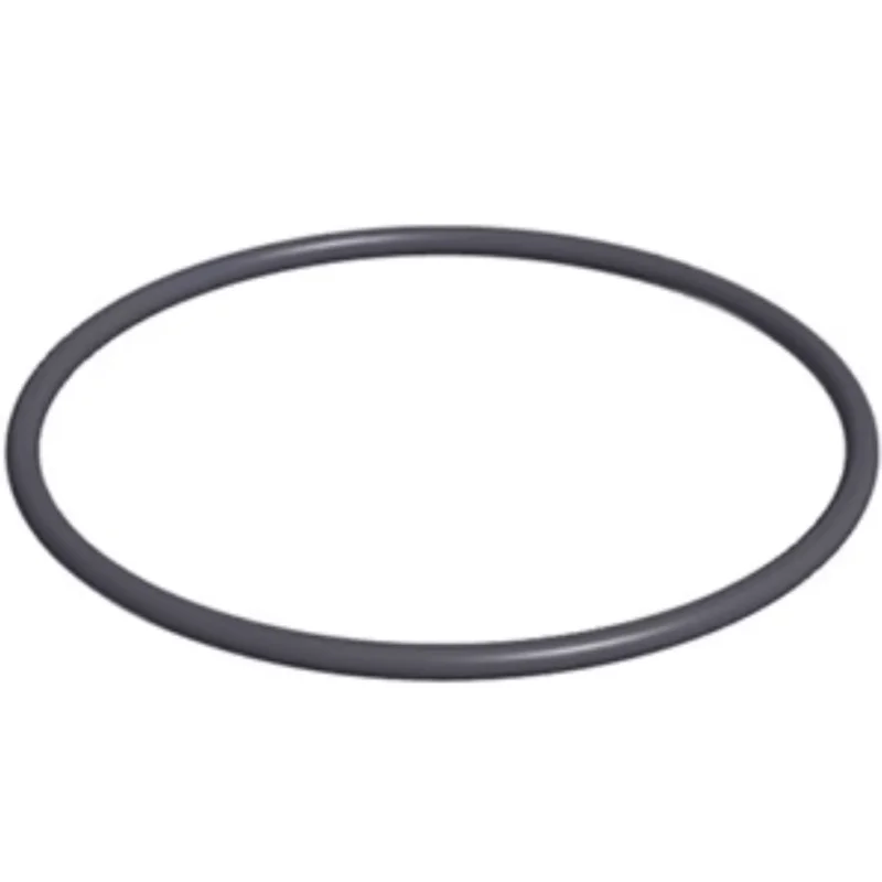 CMP PowerClean Ultra Replacement Cell O-Ring, 52000-200-101
