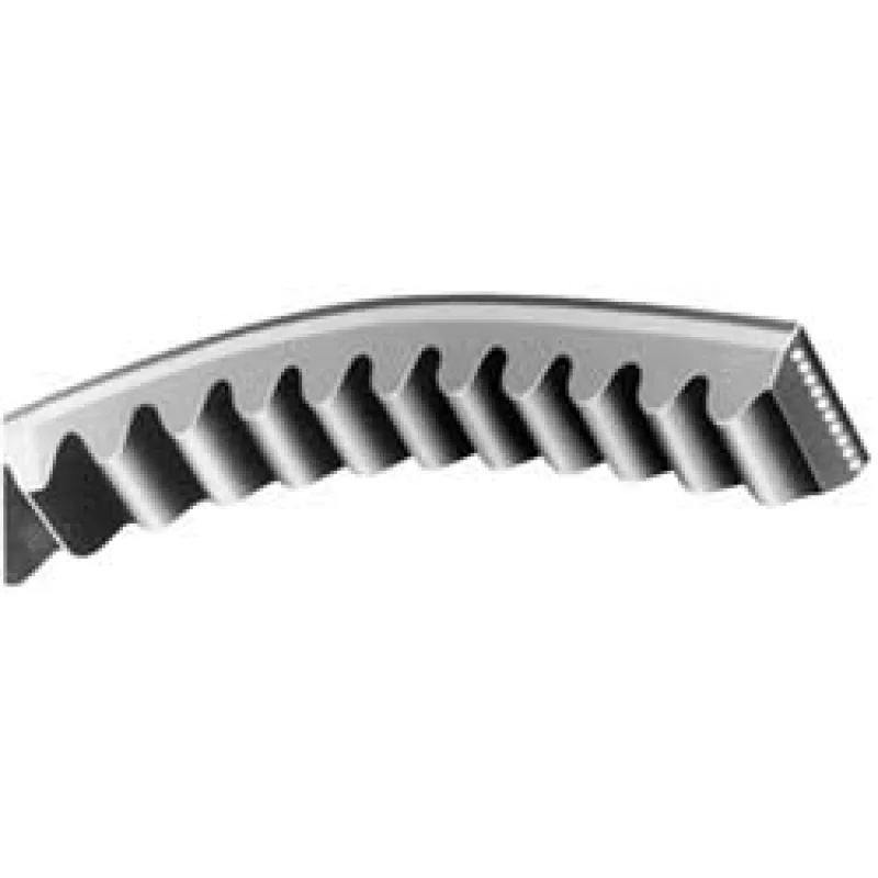 Continental Contitech 20039608 Cogged V-belt Bx 98 in