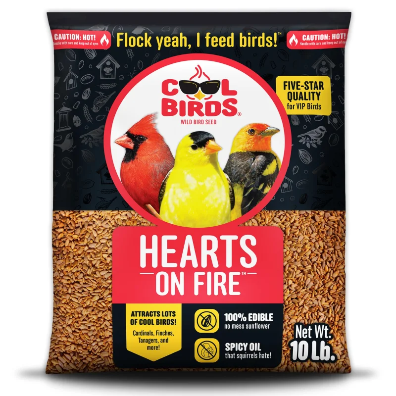Cool Birds Hearts on Fire Hot Bird Seed10 lb. 100% Hulled Sunflower Hearts with Chili Pepper OilNo Waste Bird Seed for Outside Feeders