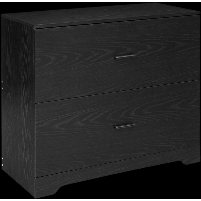 Costway 2-Drawer Lateral File Cabinet Adjustable Hanging Bars Home Office 95368014 New Black