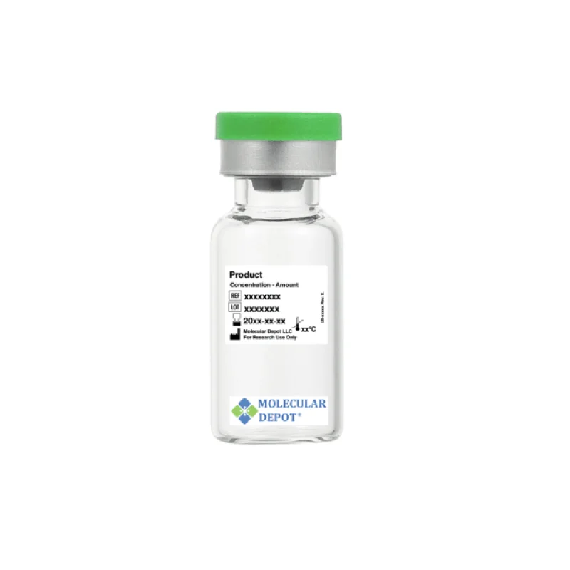 Cystatin-F CST7 Antibody