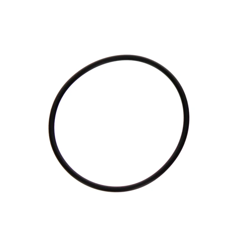 DE Filter O-Ring | Hayward | O-24 | (Compatible With Hayward DE Filters)
