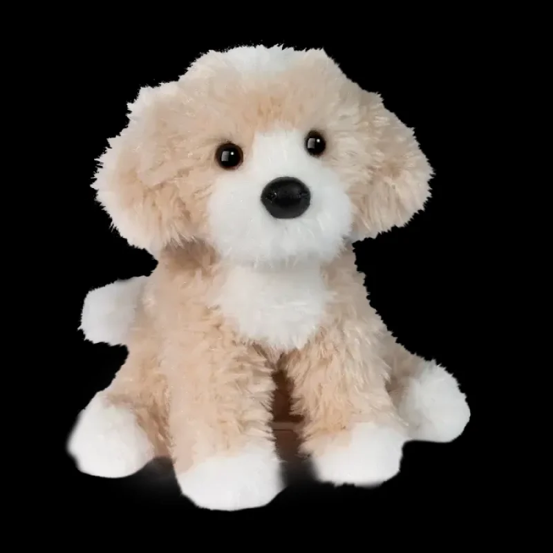 Douglas Darcy Golden Doodle
