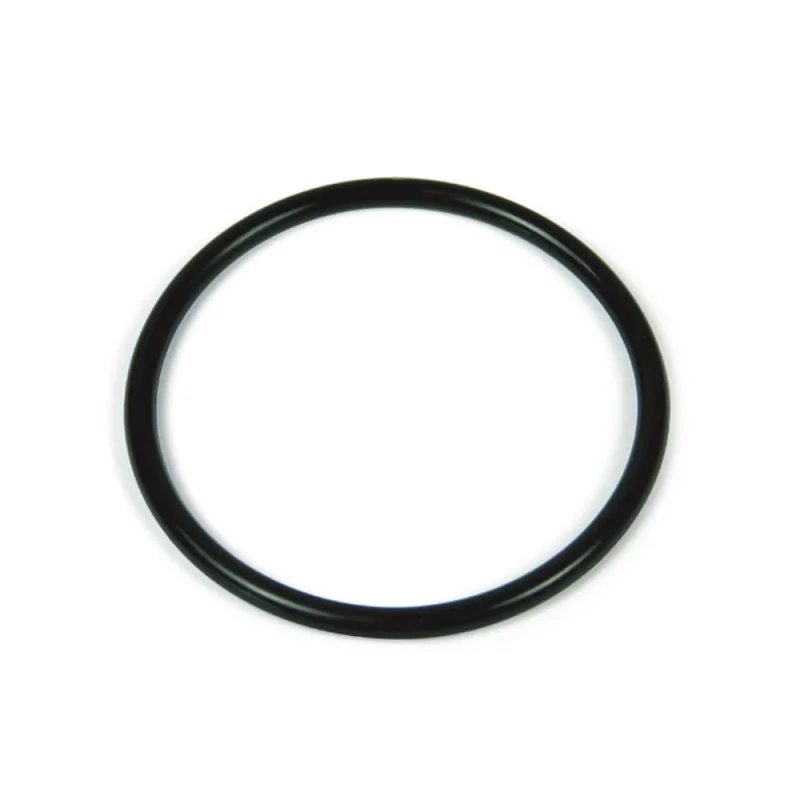 Fleck Tank O-Ring Gasket 10381