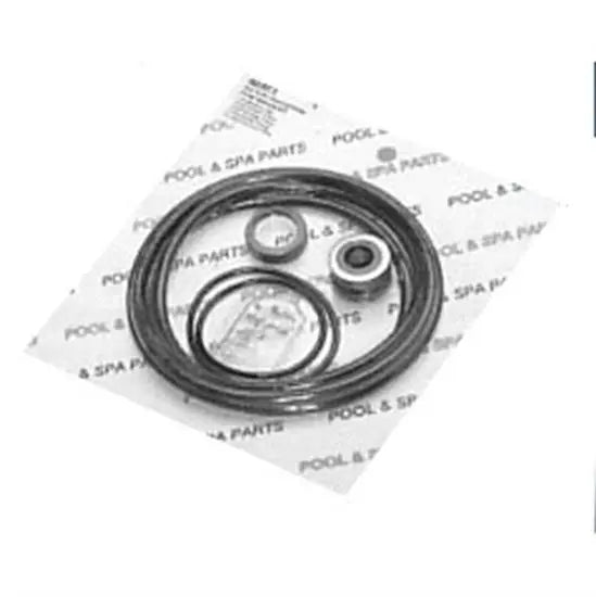 Go Kit Rebuild Kit for Jacuzzi Magnum Pump