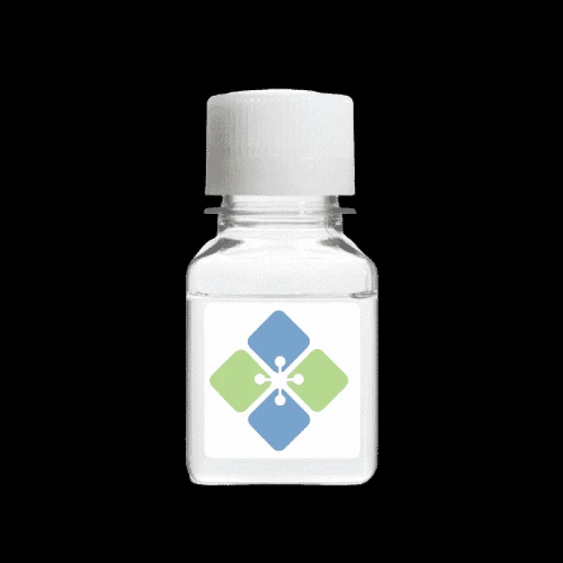 Goat anti-Rat IgG Fc conjugated to R-Phycoerythrin