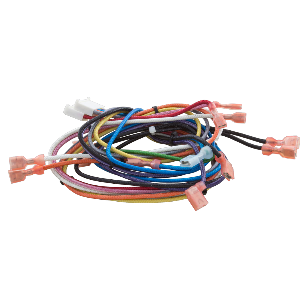 Hayward Electronic Wiring Harness