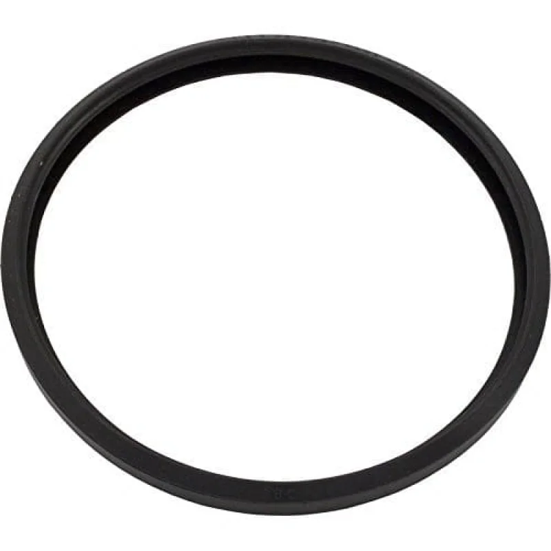 Hayward Plastic Threaded Winter Plug w/ O-Ring for 1-1/2" Fitting, Black