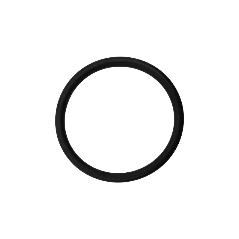 Hayward TriStar VS 900/950 Omni Pump Diffuser O-Ring - Tristar Vs 900 950 Omni Pump Parts And Accessories || SPX4000Z1
