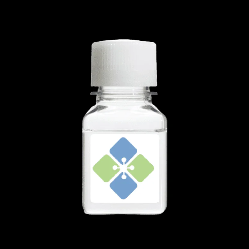 Human Uteroglobin