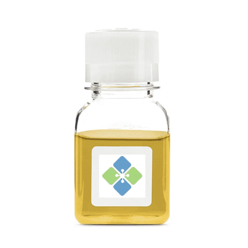 Immunoglobulin G Depleted Human Serum