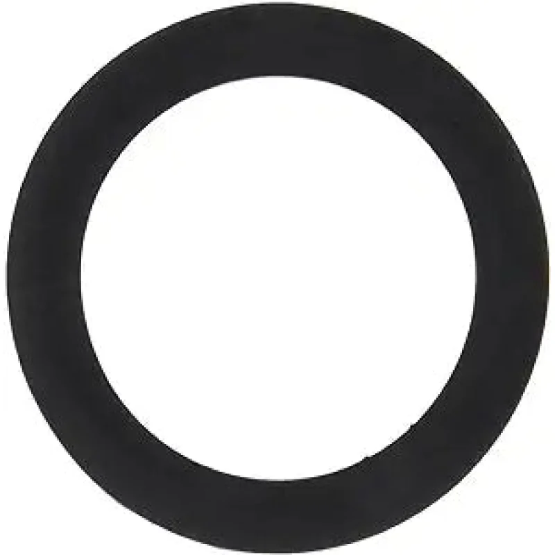 Jandy Hi-E2 Heater Bypass Valve Gasket || R0011400