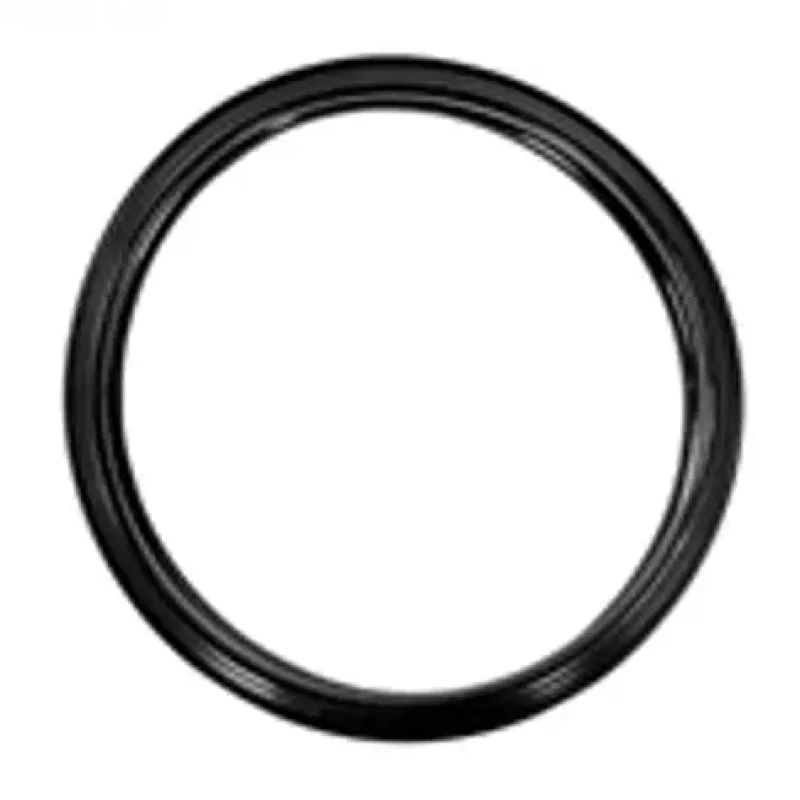 Jandy Pool Light Lens Gasket R0790500 / R0451101