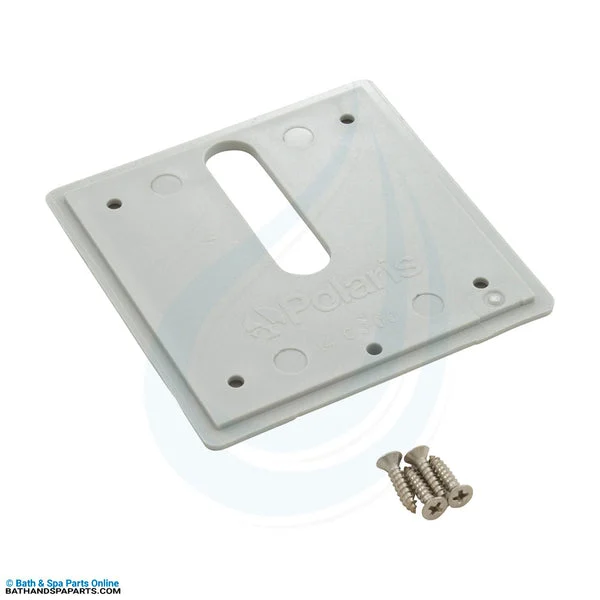 Jandy Pro Series Minijet Dove Gray Cover Plate with Screws (MJ6320)