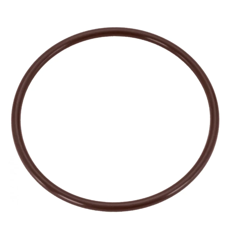 Jandy TruChlor Cover O-Ring, R0966900