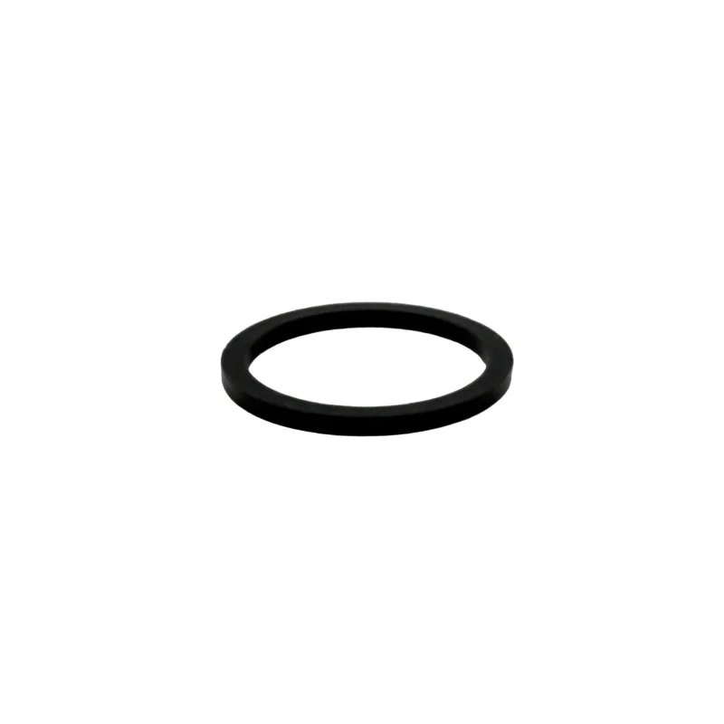 Jandy Valve Space Saver Diverter Seal Ring (1.52) | 3457