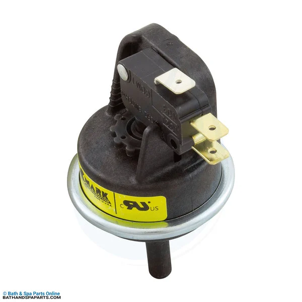 Lochinvar Water Pressure Switch Kit [EnergyRite Heater] (100166256)