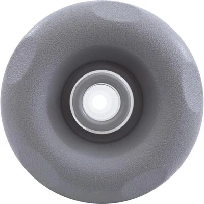 Marquis Spa Directional Jet MRQ320-6701 Gray 4 1/4