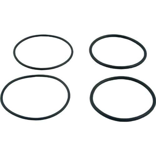 Raypak Inlet & Outlet O-Ring Kit, Set of 2 | 006724F