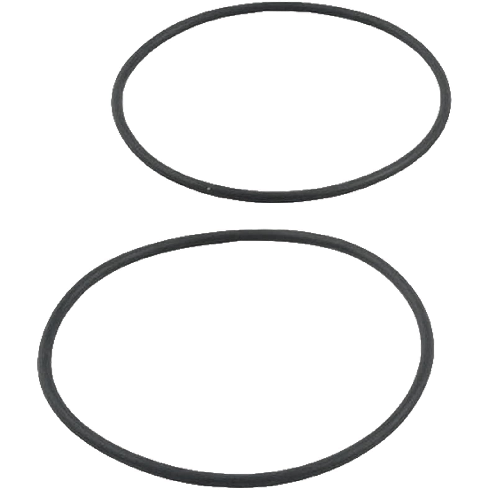 Raypak O-Ring Kit, for 2" Connector | 006724F