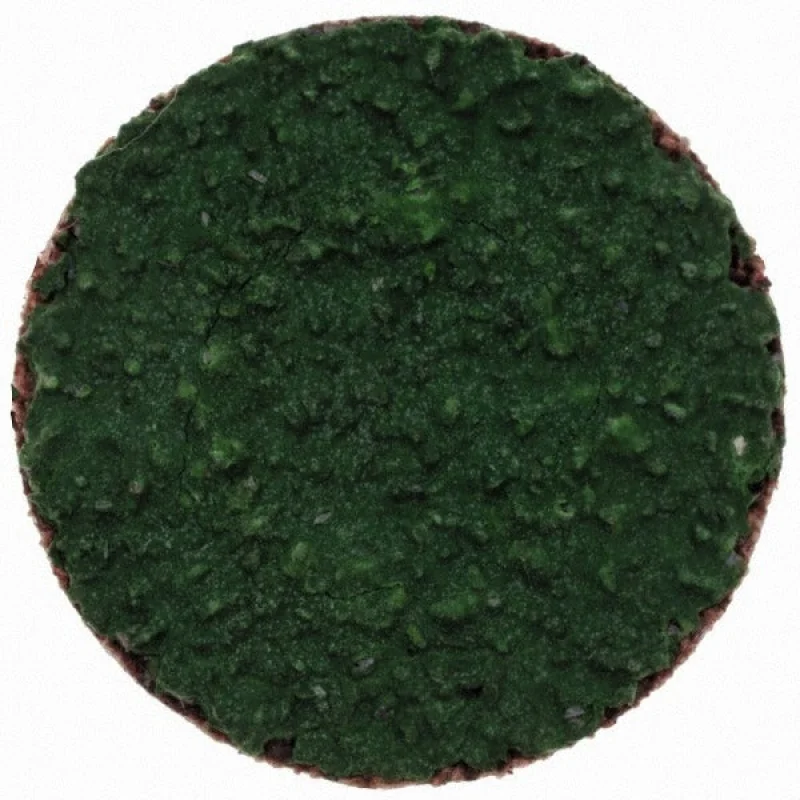 Merit Abrasives 08834167052 Quick-change Disc 40 Grit 1 in