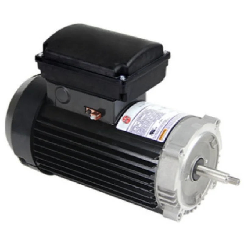 Nidec C-Flange Threaded Pool & Spa Motor - TET165