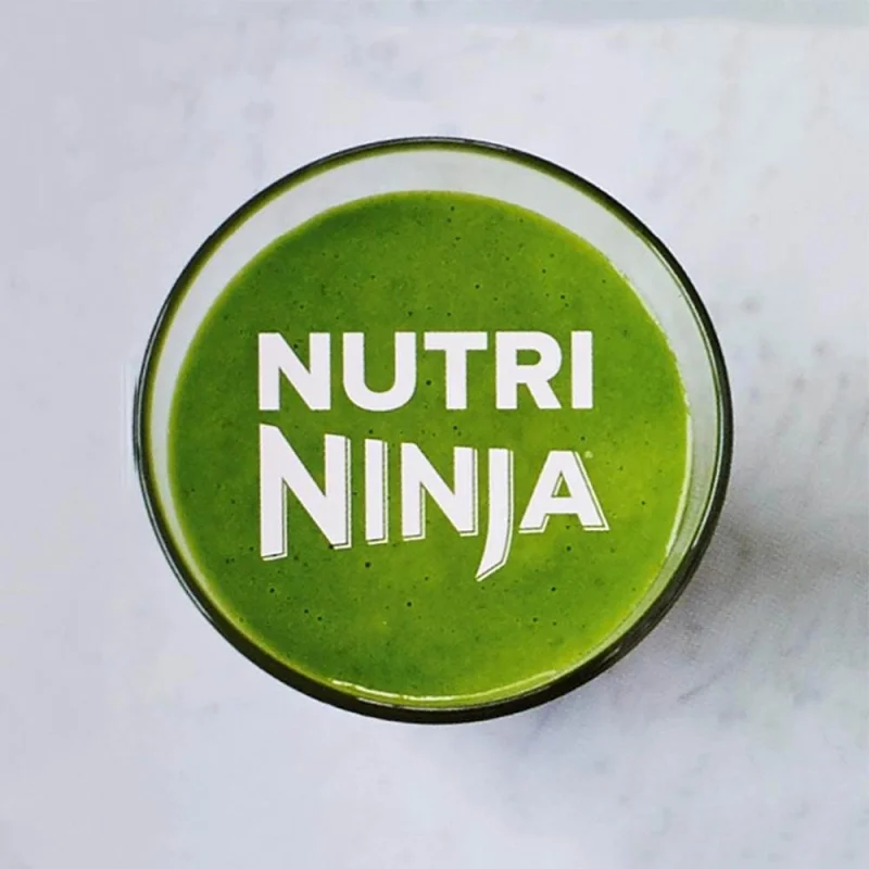 Ninja QB1000 Master Prep 450 Watt Pulse Ice Crusher Blender & 100 Recipe Book