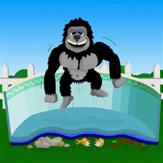 Blue Wave Gorilla 16’ x 24’ Oval Floor Padding - NL1325