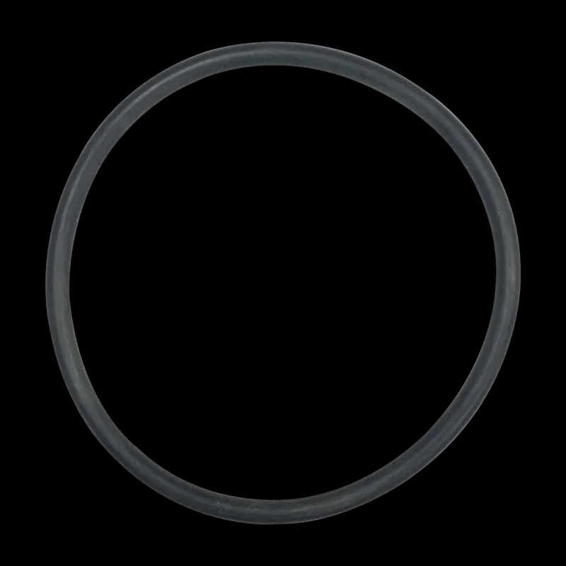 O-Ring | SPX0728H