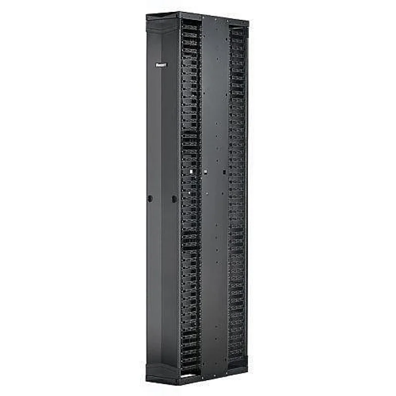 Panduit PE2VD10 Cable Manager 10 Inches Wide