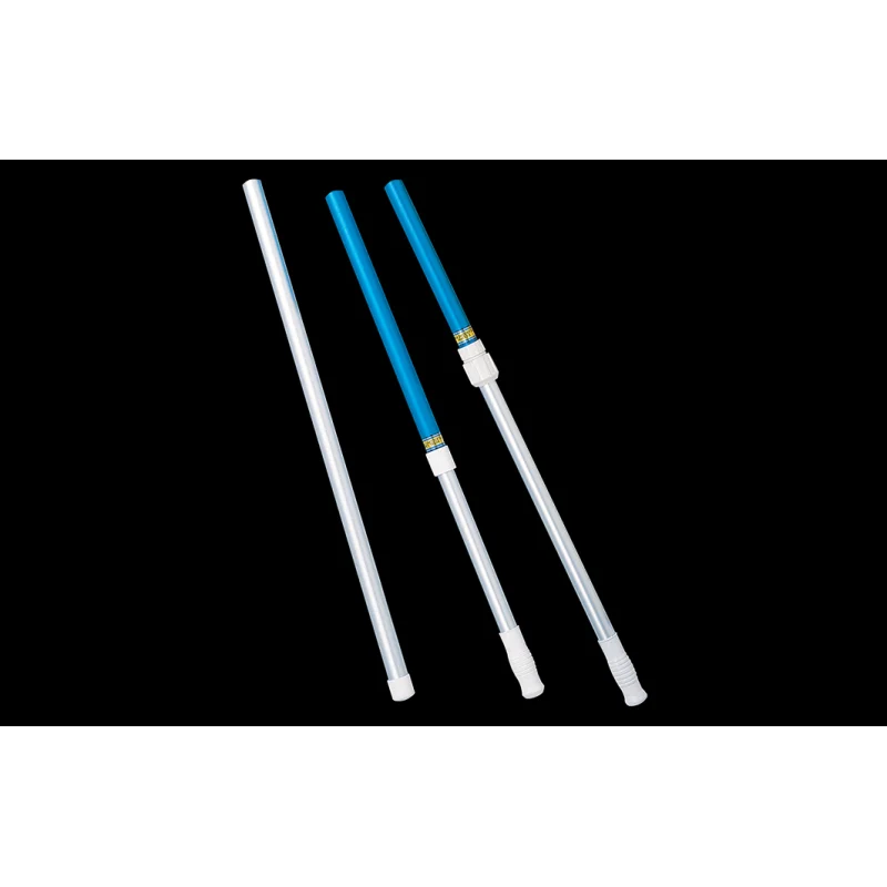 Pentair 1 Piece Straight Clear Anodized Pole (12 ft. w/ Pole Cap) || R191106